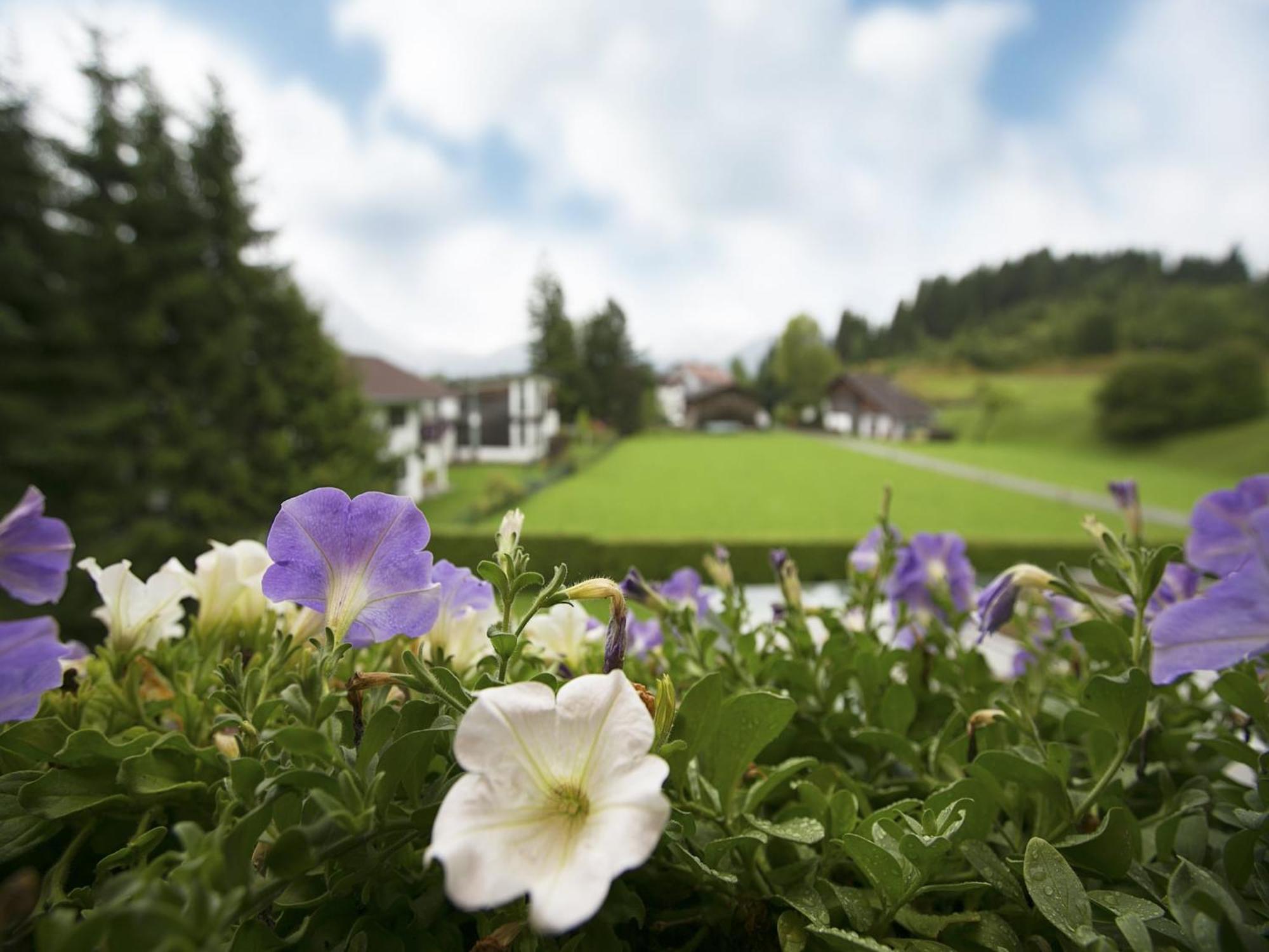 Apartment In W Ngle Tyrol With Walking Trails Near 로이테 외부 사진