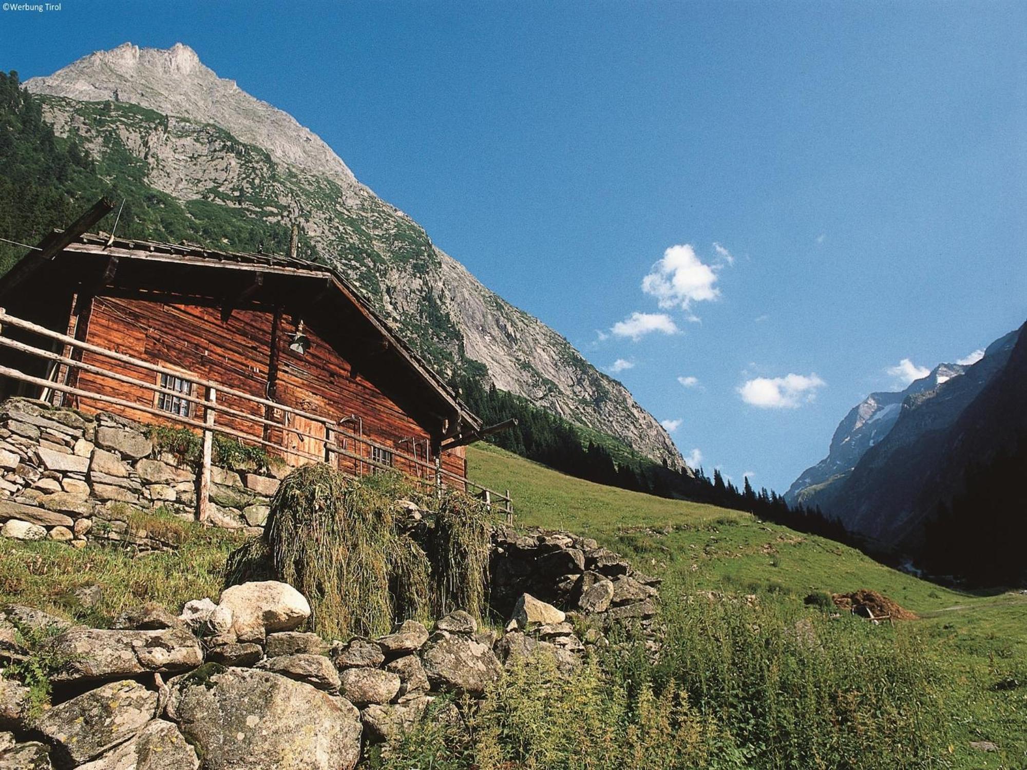 Apartment In W Ngle Tyrol With Walking Trails Near 로이테 외부 사진