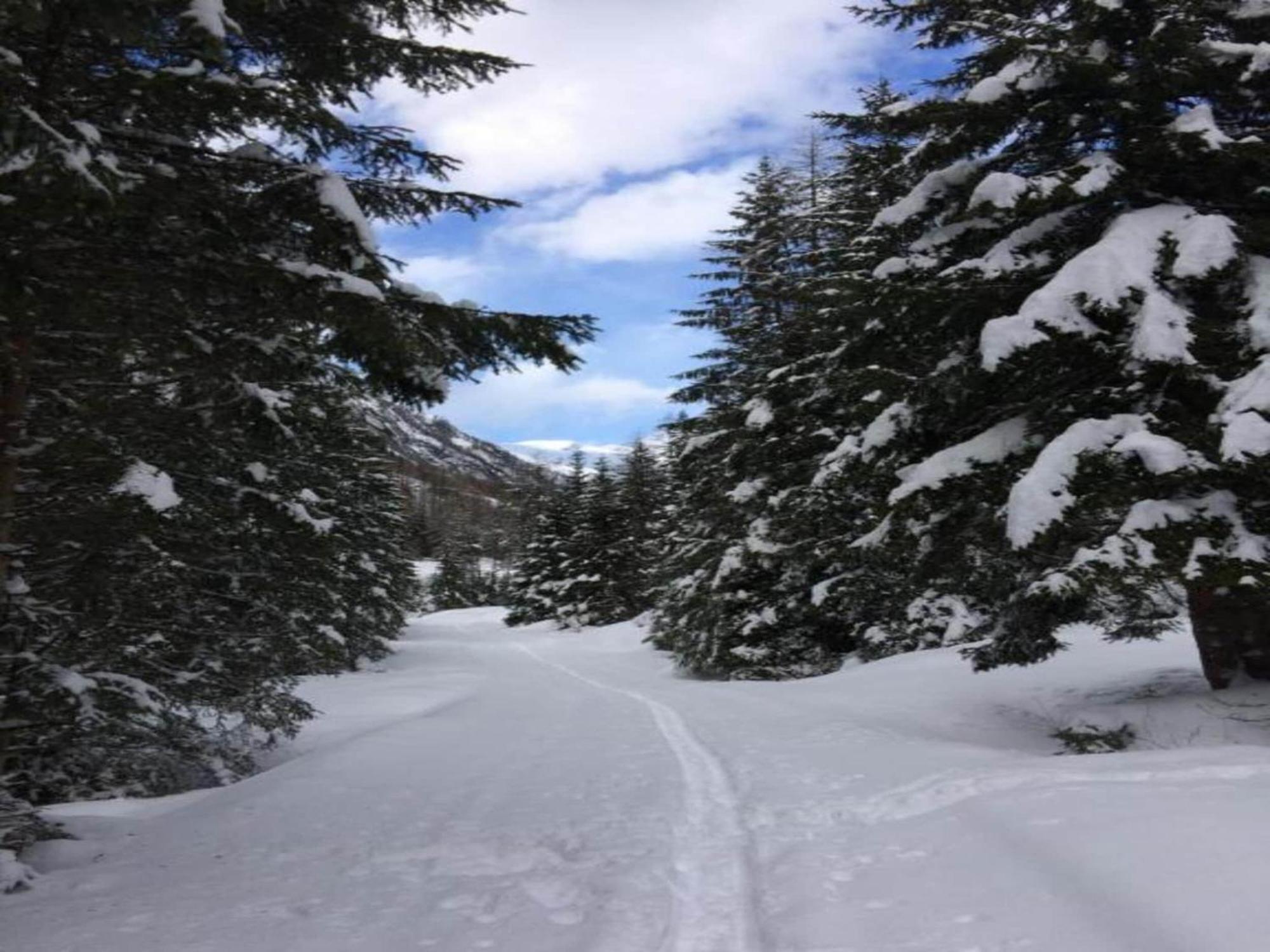 Apartment In W Ngle Tyrol With Walking Trails Near 로이테 외부 사진